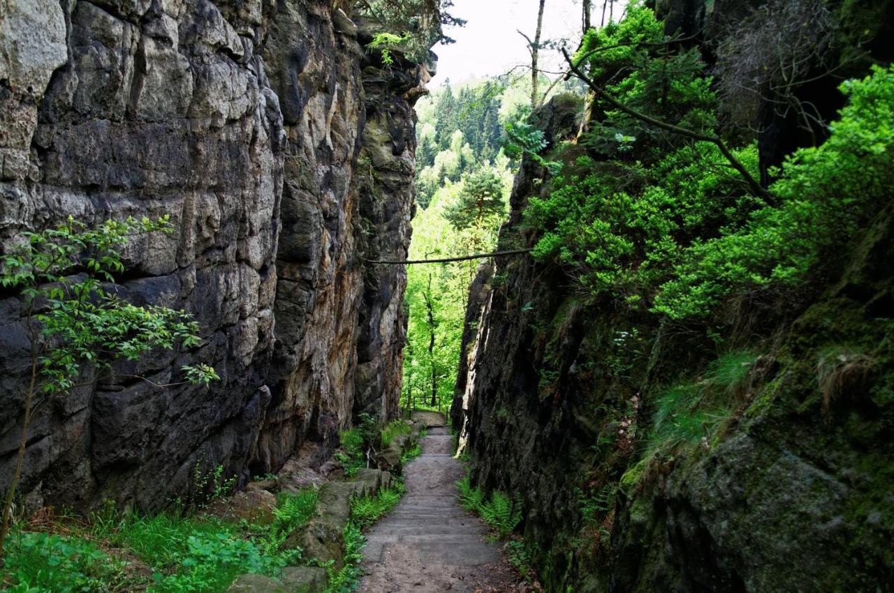 Wohlfuehlzeit Im Zittauer Gebirge Διαμέρισμα Εξωτερικό φωτογραφία